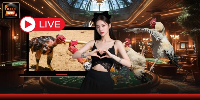 Kinh nghiệm theo dõi trận đấu cho người mới Kinh nghiệm theo dõi trận đấu cho người mới