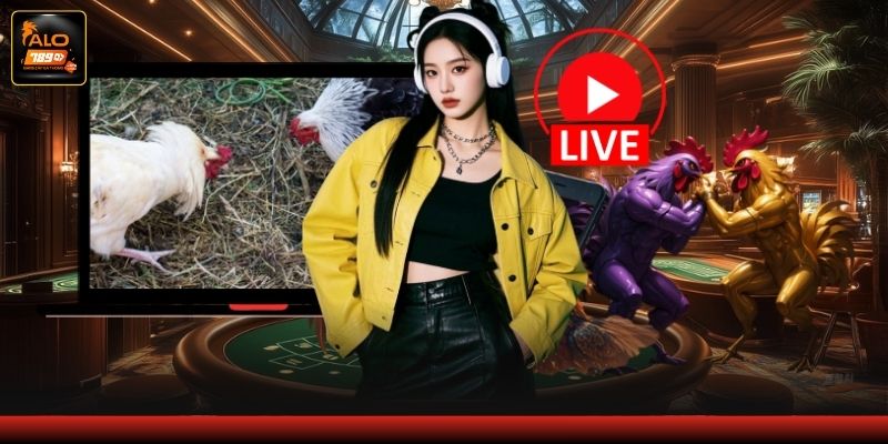 Ưu điểm vượt trội khi theo dõi gà đá online Ưu điểm vượt trội khi theo dõi gà đá online